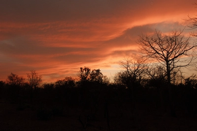 Wolken und Sonne über den Nationalpark im Senegal